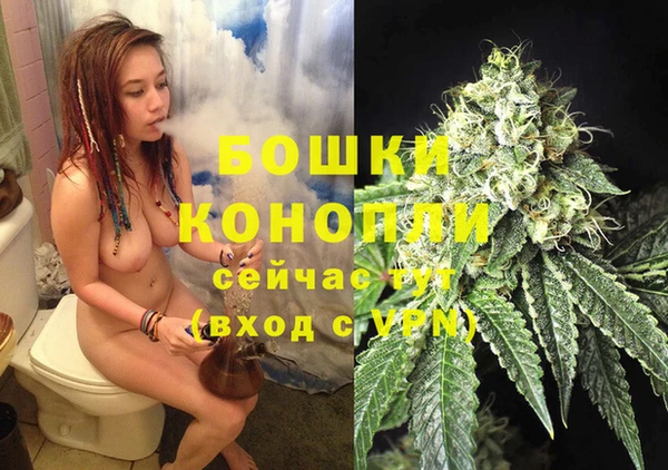 метадон Гусь-Хрустальный