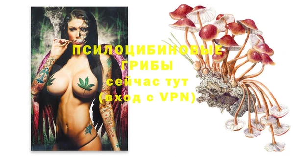 apvp Братск