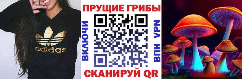 наркошоп  Алейск  Псилоцибиновые грибы мицелий 