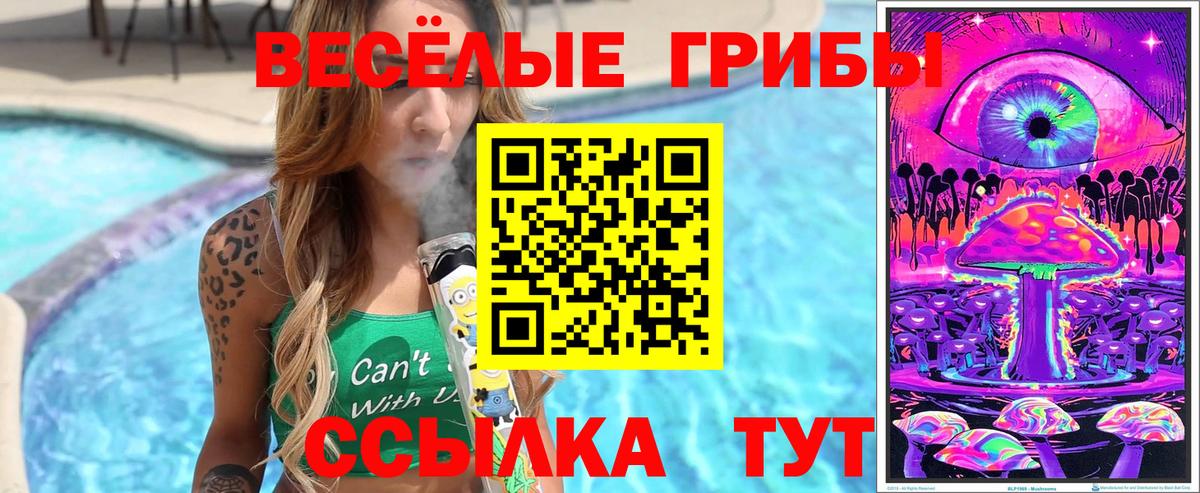 Псилоцибиновые грибы Psilocybe Алейск