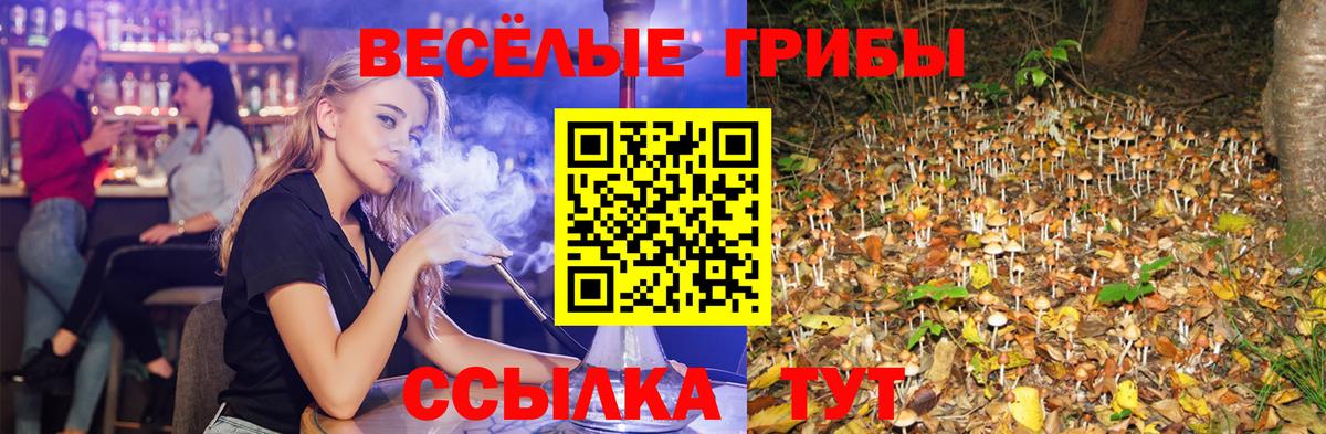Алейск  Псилоцибиновые грибы мухоморы  Вход с VPN  Галлюциногенные грибы мухоморы 