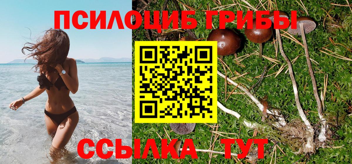 Псилоцибиновые грибы MAGIC MUSHROOMS Алейск