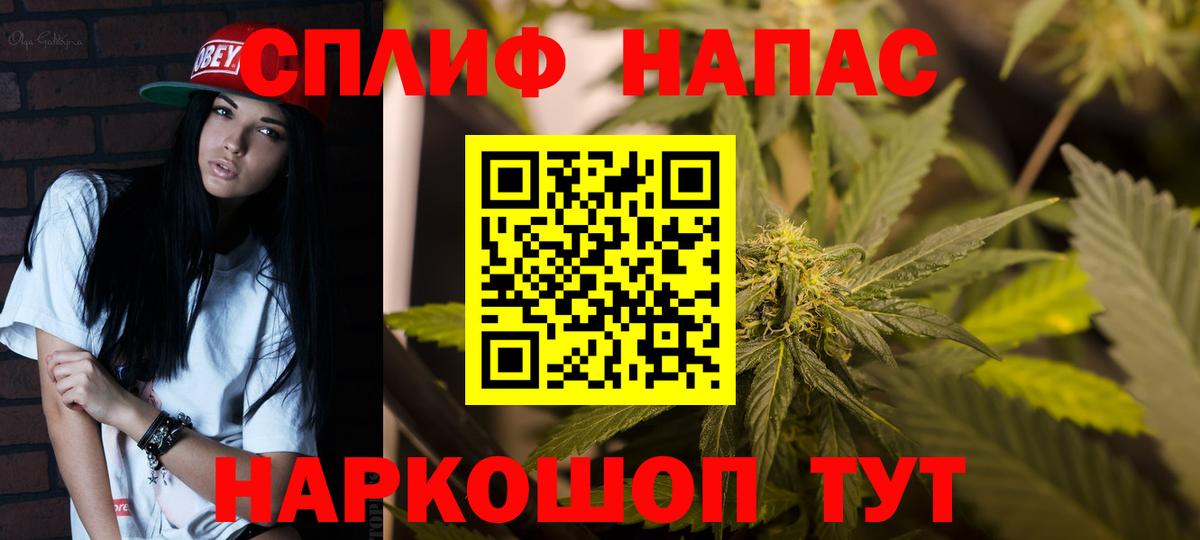Бошки марихуана Amnesia Алейск